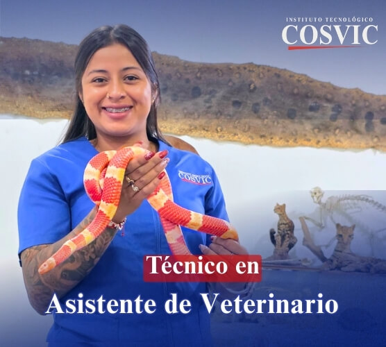 Técnico en Asistente de Veterinario COSVIC