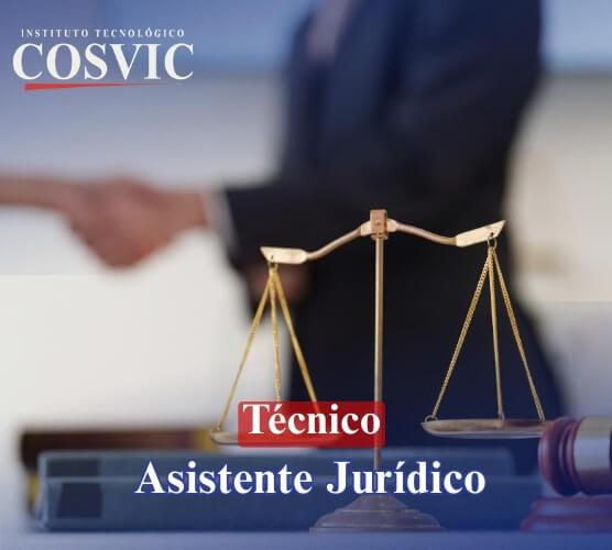 Técnico Asistente Jurídico COSVIC